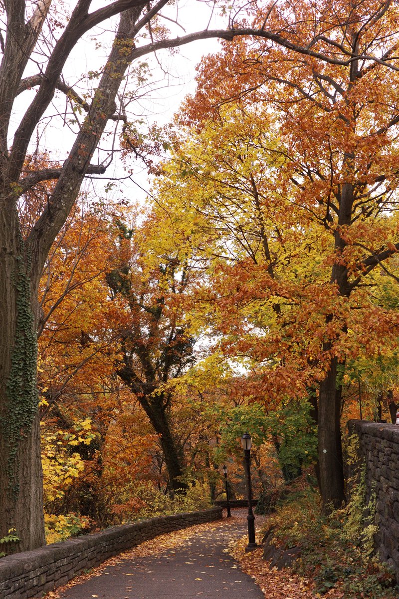 NYCParks's tweet image. Falling in to the week at Fort Tryon Park 🍂
Happy Monday, NYC!