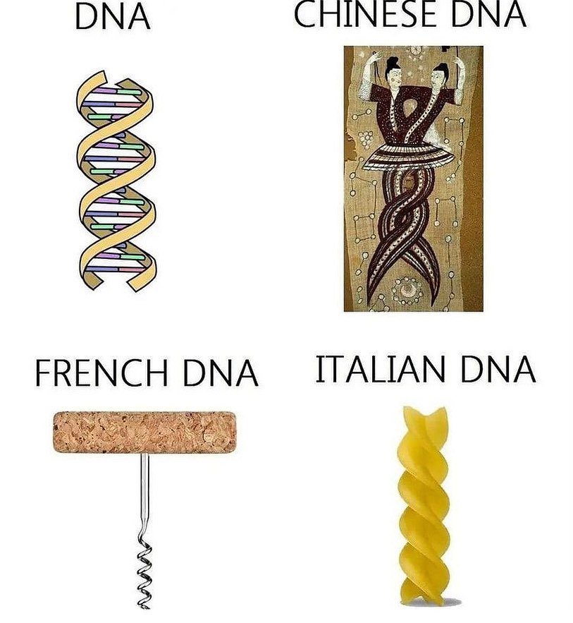 memes inteligentes (@memeinteligente) on Twitter photo 