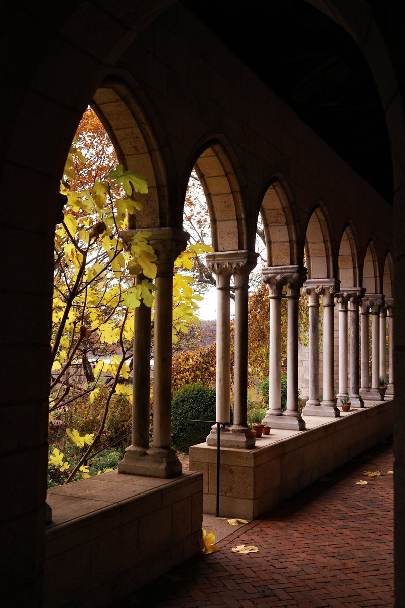 NYCParks's tweet image. Falling in to the week at Fort Tryon Park 🍂
Happy Monday, NYC!