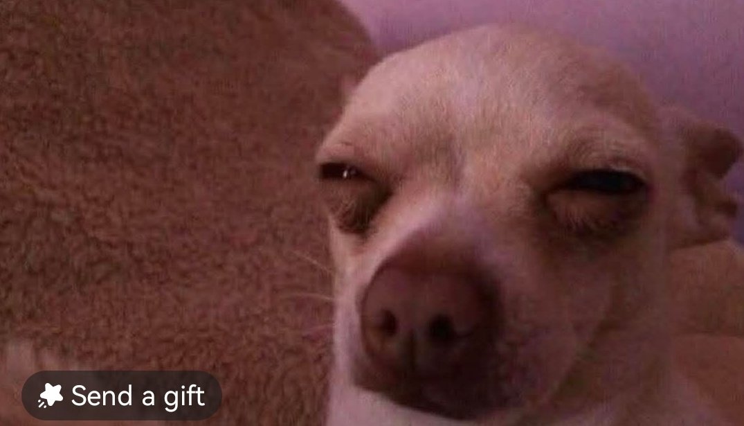 Me looking at that one family member i know is evil but i jist can't prove it :