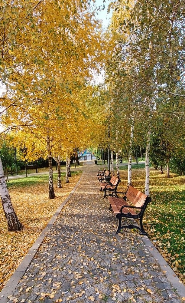LOLA_CULE's tweet photo. #AutumnTime
🌳🌾🍂🌱🌼🍁🌲 
(Contèmplalo.) https://t.co/wIpQy2NXvH