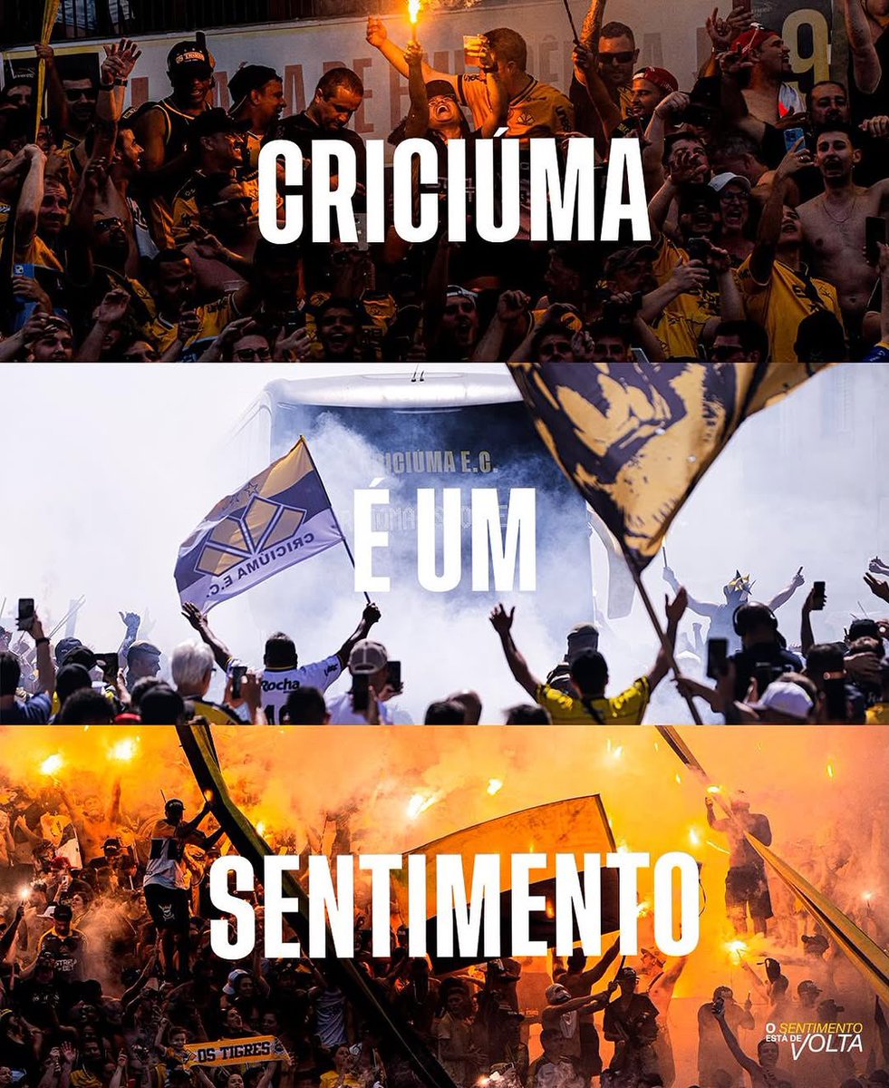 Criciúma E.C. 🐯 tweet media