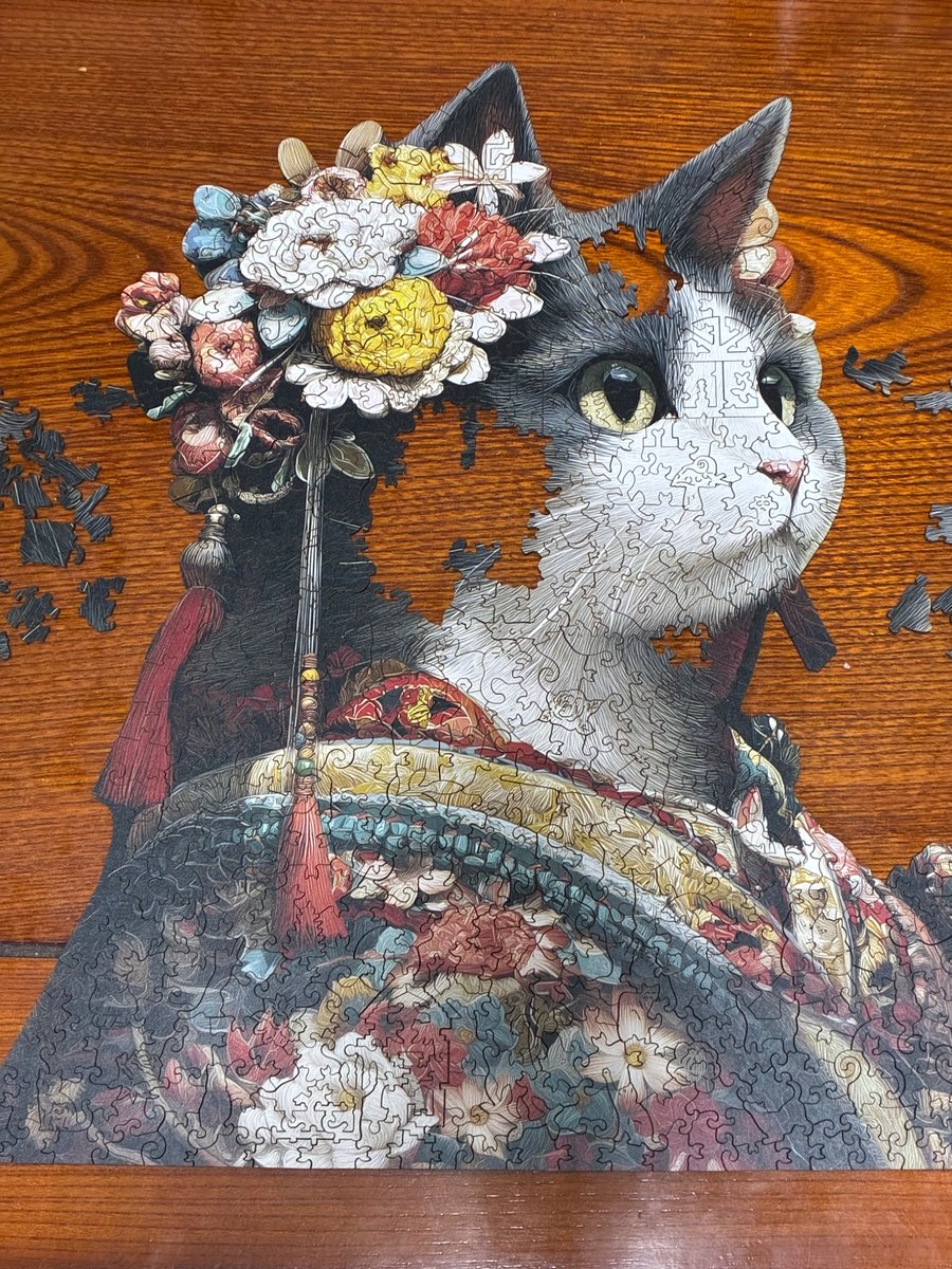 ようよう@子猫保護して丸4年 (@yo_yoring) / Posts / X