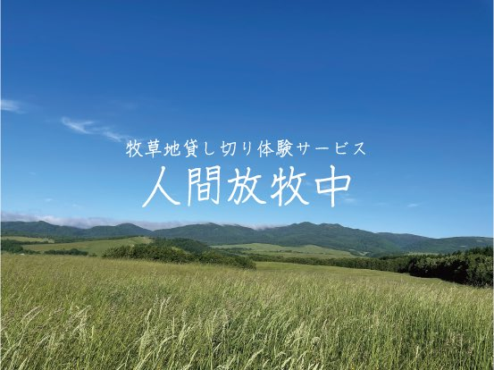 memotock's tweet image. 【お知らせ】
降雪のため、牧草地貸し切り体験サービス「人間放牧中」2025年度の営業を、11月16日をもって終了いたしました。 
来年もさらにパワーアップして営業予定です。
 ご利用いただいた皆様、ありがとうございました！🐮
bokuso.memotock.jp