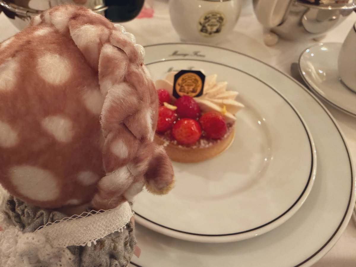 llgwJ6H1ou81892's tweet image. 千古ちゃんのお誕生日をお祝いしてきました🍰🫖
我が家に来てくれてありがとう。これからもよろしくね💐
 #あんみつ工房