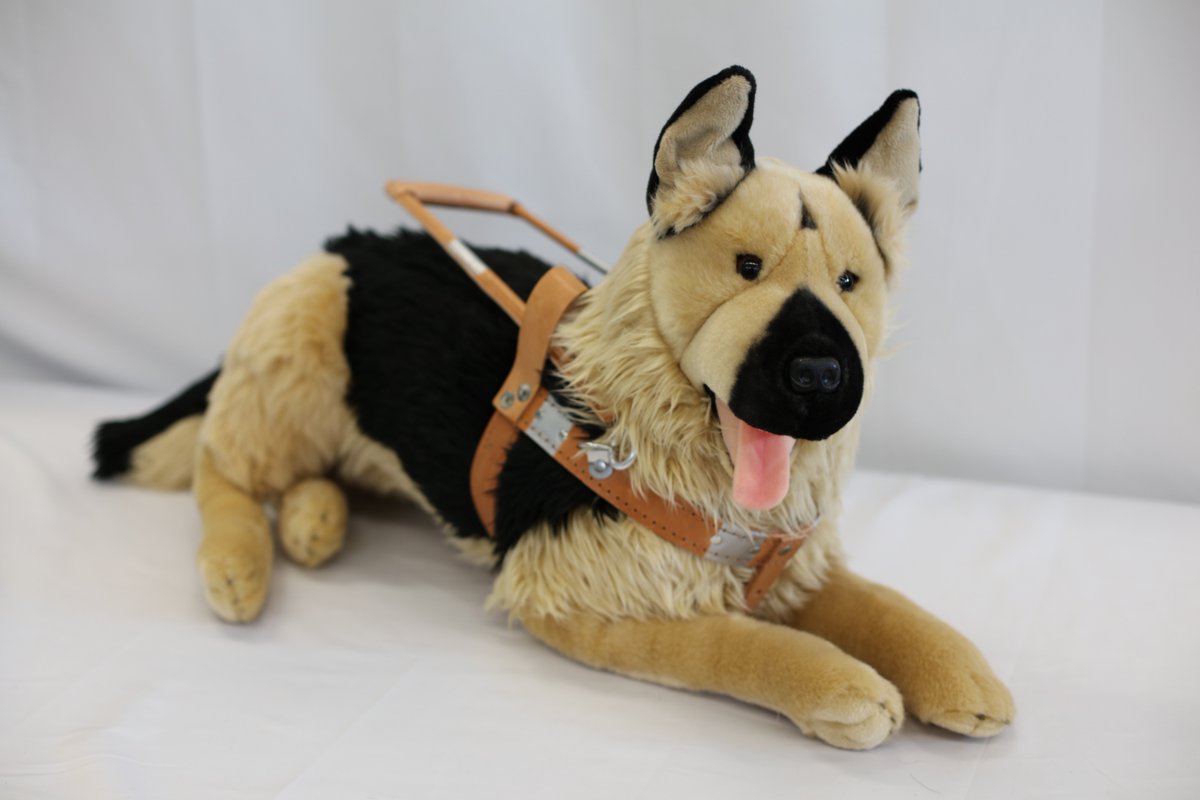 The Seeing Eye tweet media