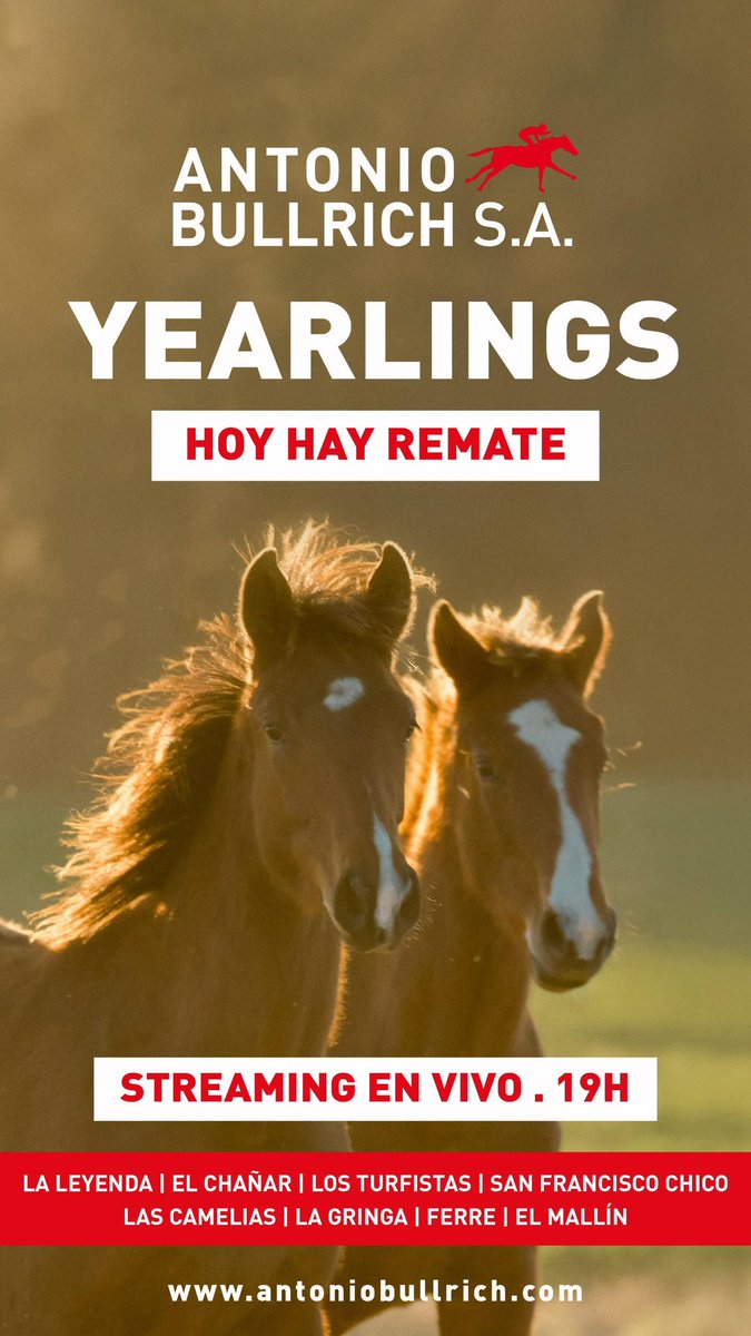 ¡Hoy es el día!
Remate 100% virtual, sin preoferta. Pagá en hasta 5 cuotas. ¿Querés saber más?  Visita antoniobullrich.com

#remate #caballos #entretenimiento #caballosdecarreras