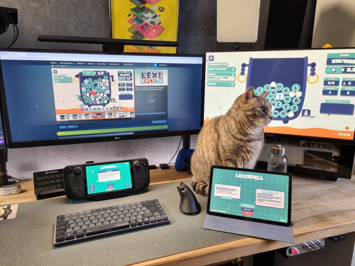 mreliptik's tweet image. Not trying to influence you or anything, just wanted to show you my cat 😺