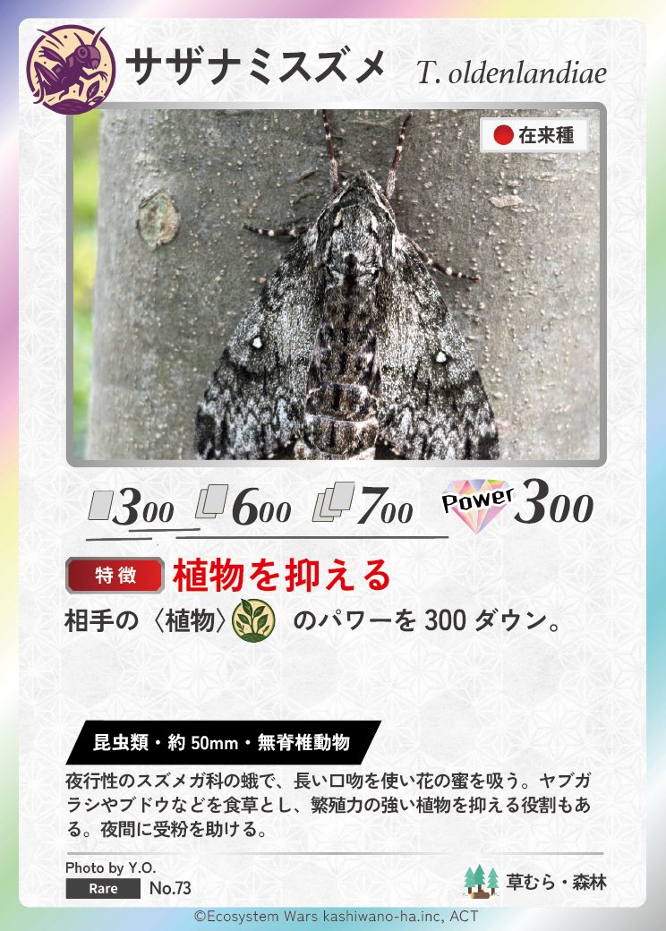 Ecosystem_Wars's tweet image. 🦋🌙生態系ウォーズ カード化フォトコンテスト✨
🎉入賞おめでとうございます🎉

カード名は「サザナミスズメ」🌲
樹皮そっくりの模様で姿を消す、夜のカモフラージュ名人。
長い口吻で花の蜜を吸いながら、夜間の受粉にも関わる“ナイトポリネーター”でもあります🌼✨…