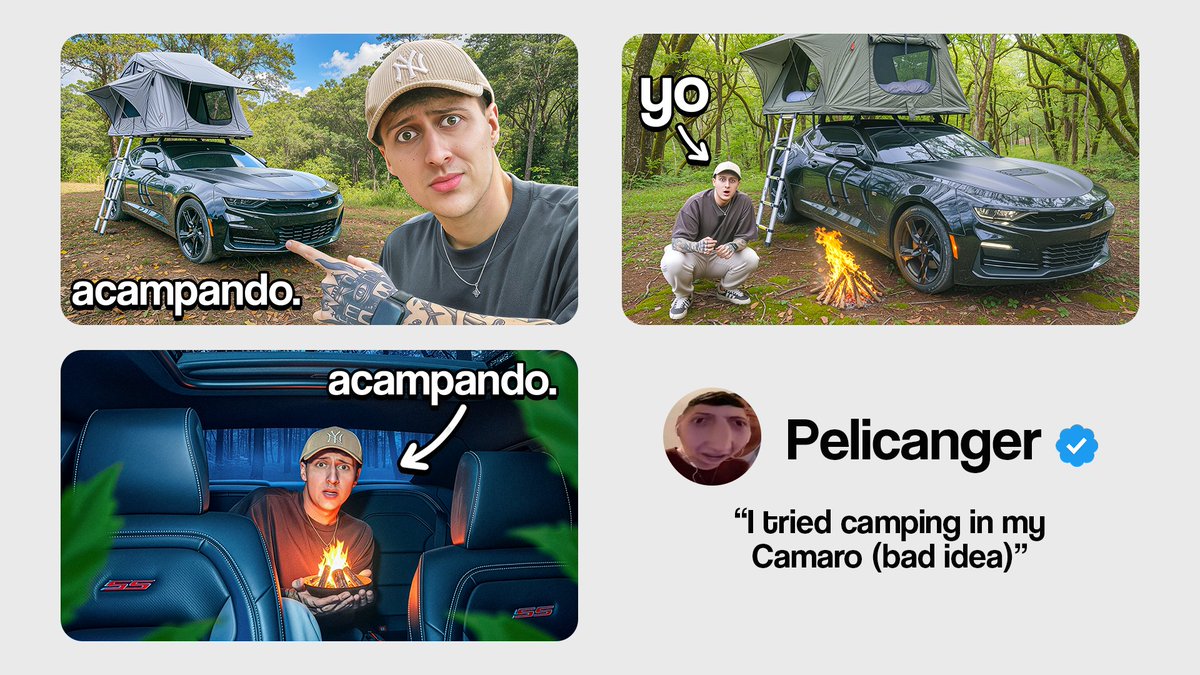 Zulodaes tweet media