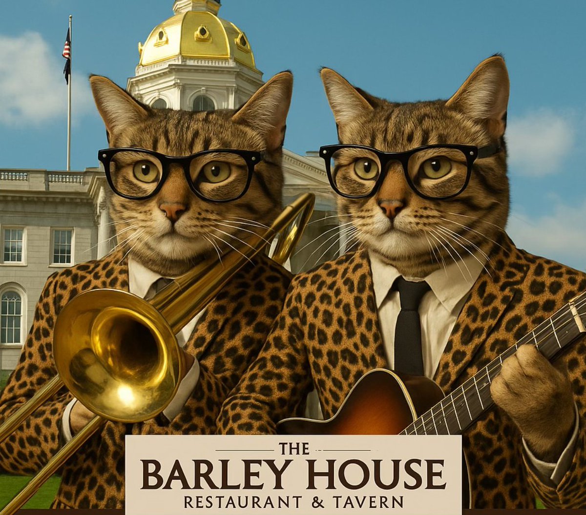 Ready to groove? 🎶 Join us on Nov 20, 5 PM at The Barley House for The Cats in the Tavern! Get ready for high-energy hits, smooth harmonies, &amp; hilarious banter from New England's finest musical duo. Let's keep the good vibes rolling! 🐱🍻 #LiveMusic #TheBarleyHouse