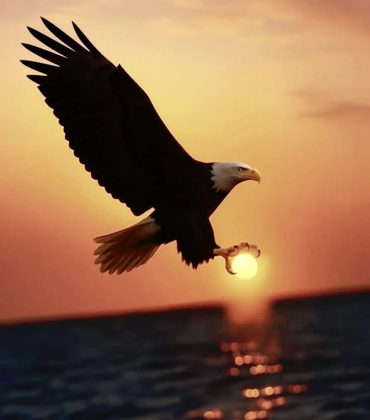 Egilsem çok kapıdan geçerdim ama
Ben dik durmayı seçtim.