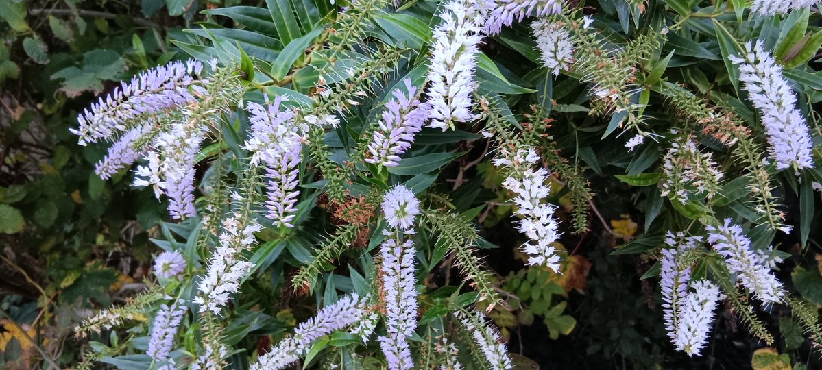 A very worky day today but sometimes days like that are pretty good!