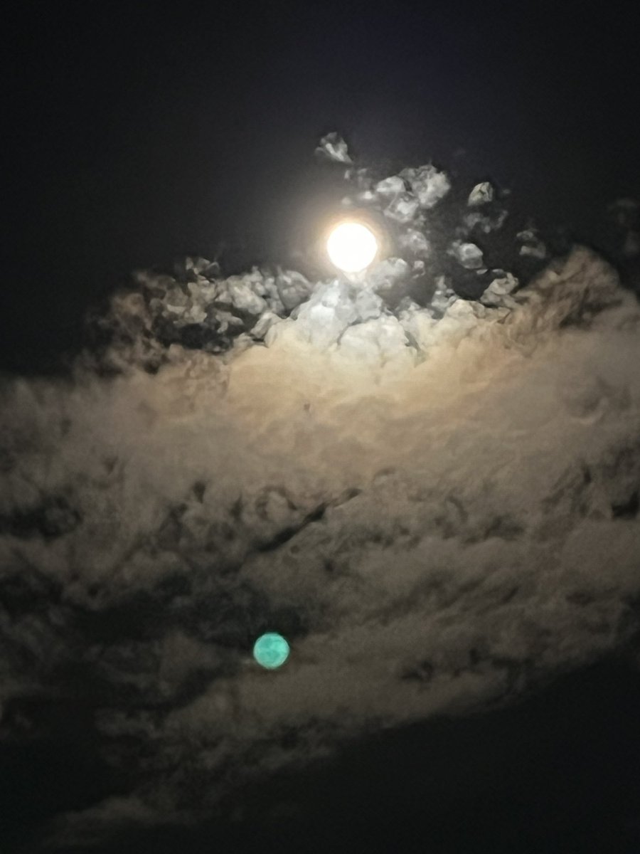 イアンママ (@SYzkmnSure6klsx) / Posts / X