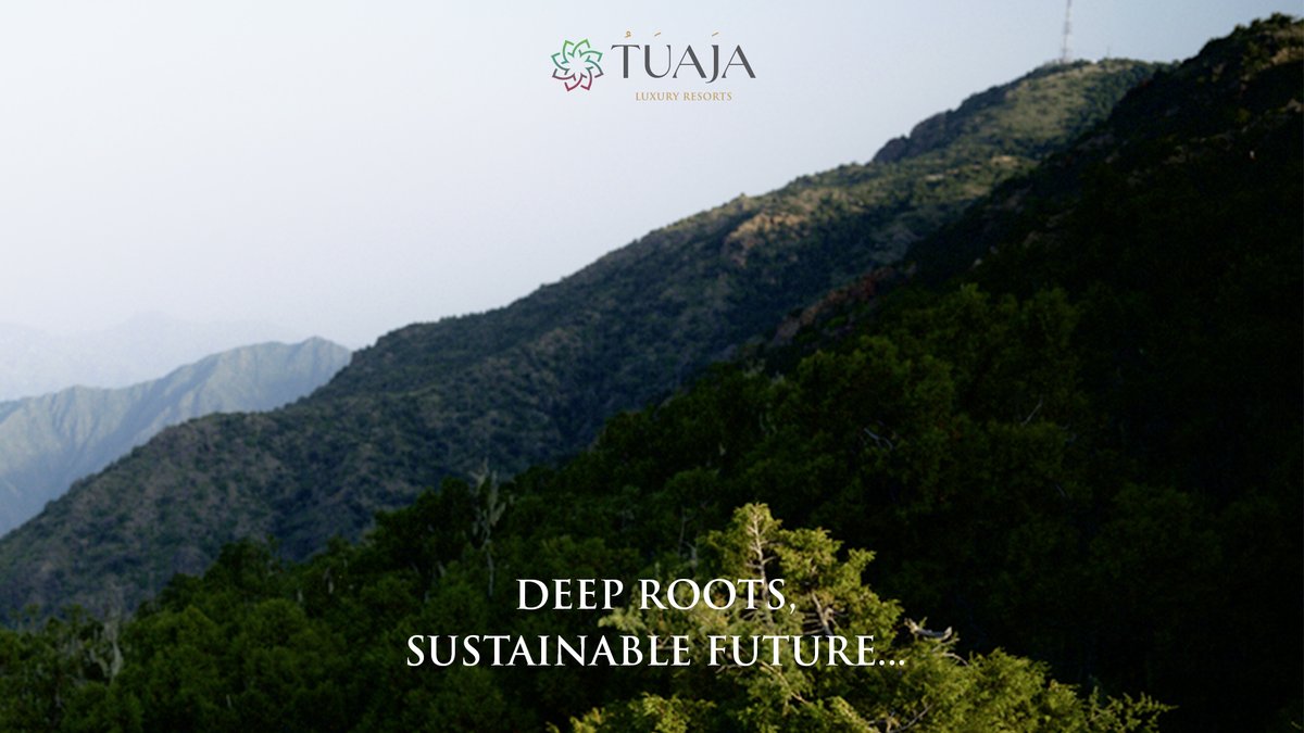 في منتجعات تواجا الفاخرة نؤمن بغدٍ مستدام ونلتزم ببناء مستقبلٍ أخضر مزدهر

#منتجعات_تواجا #شركة_دان #من_نبض_الطبيعة

At Tuaja Luxury Resorts, we believe in a sustainable tomorrow and remain committed to building a thriving, greener future.

#TuajaResorts #Dan_Company