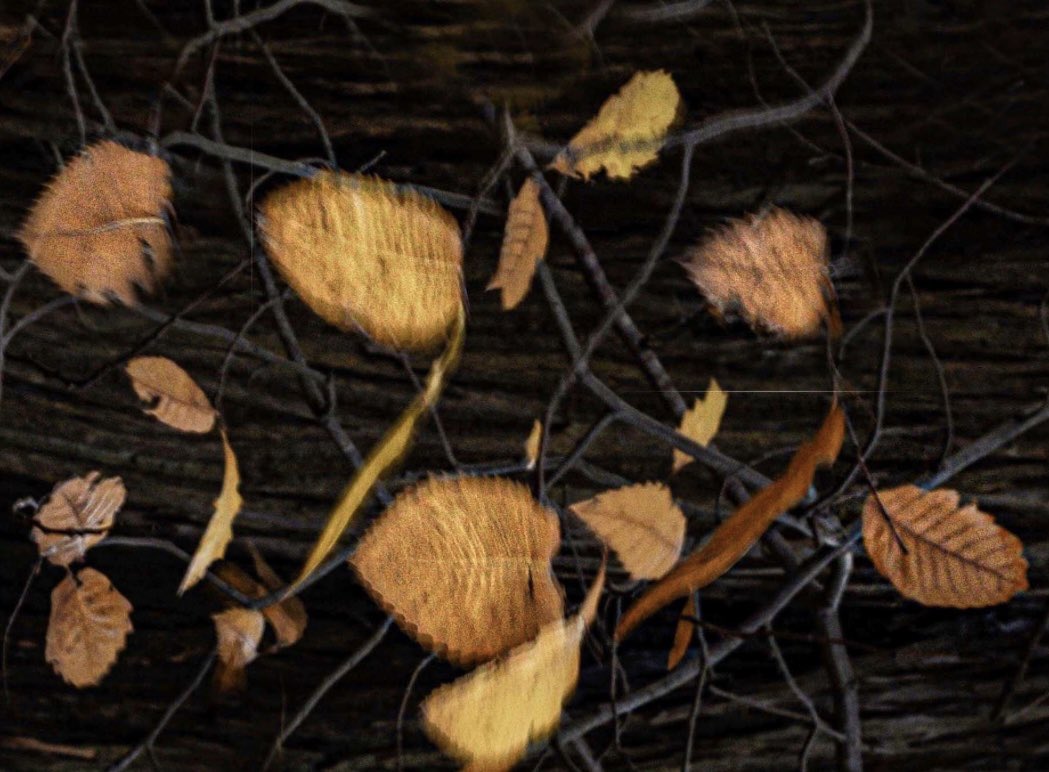 BELLEGREENWICH's tweet photo. Creative autumn photography
#AutumnVibes #Autumn #SheClicks #CreativePhoto @aperturewps https://t.co/FejcLj0BrN