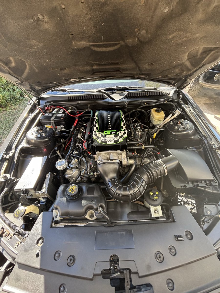 NateCapHippo's tweet image. 3V Mustang #s197 #cammed #ford