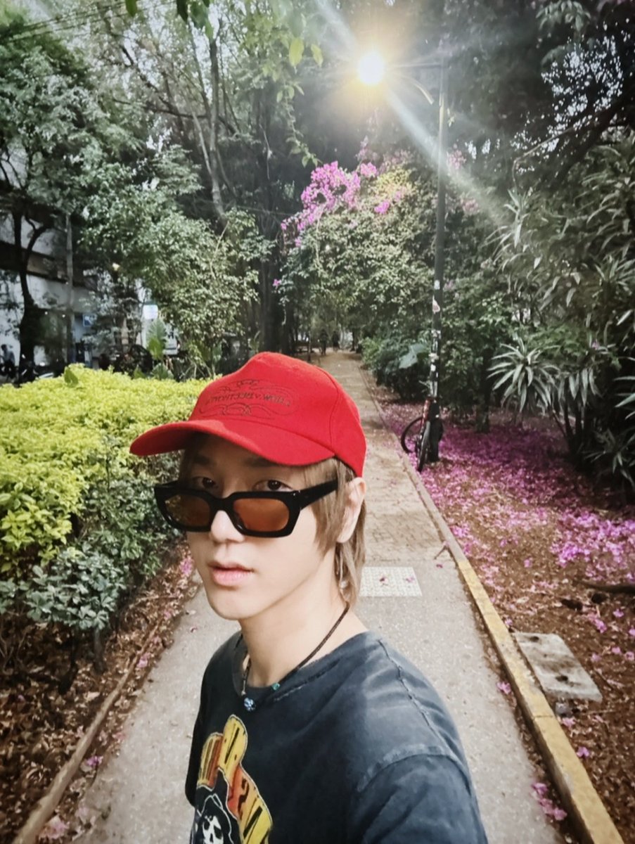 PinkMagicCloud's tweet image. A Yesung le toco ir cuando cortaron los arbustos a mi cuando llovio y habian crecido jaja
Y sin flores 🥺

Si me preguntan como encontre el lugar estuve una semana por google maps xD
#ELFSelcaDay 

#20toEternitySuperJunior
#슈퍼주니어_더라스트맨_스탠딩 #슈퍼주니어 #SUPERJUNIOR