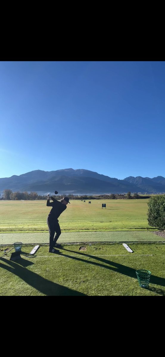 Tom Dowdall tweet media