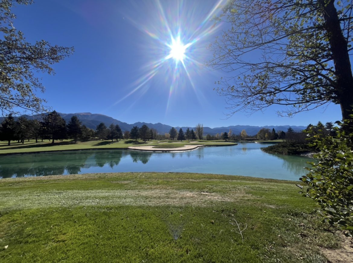 Tom Dowdall tweet media