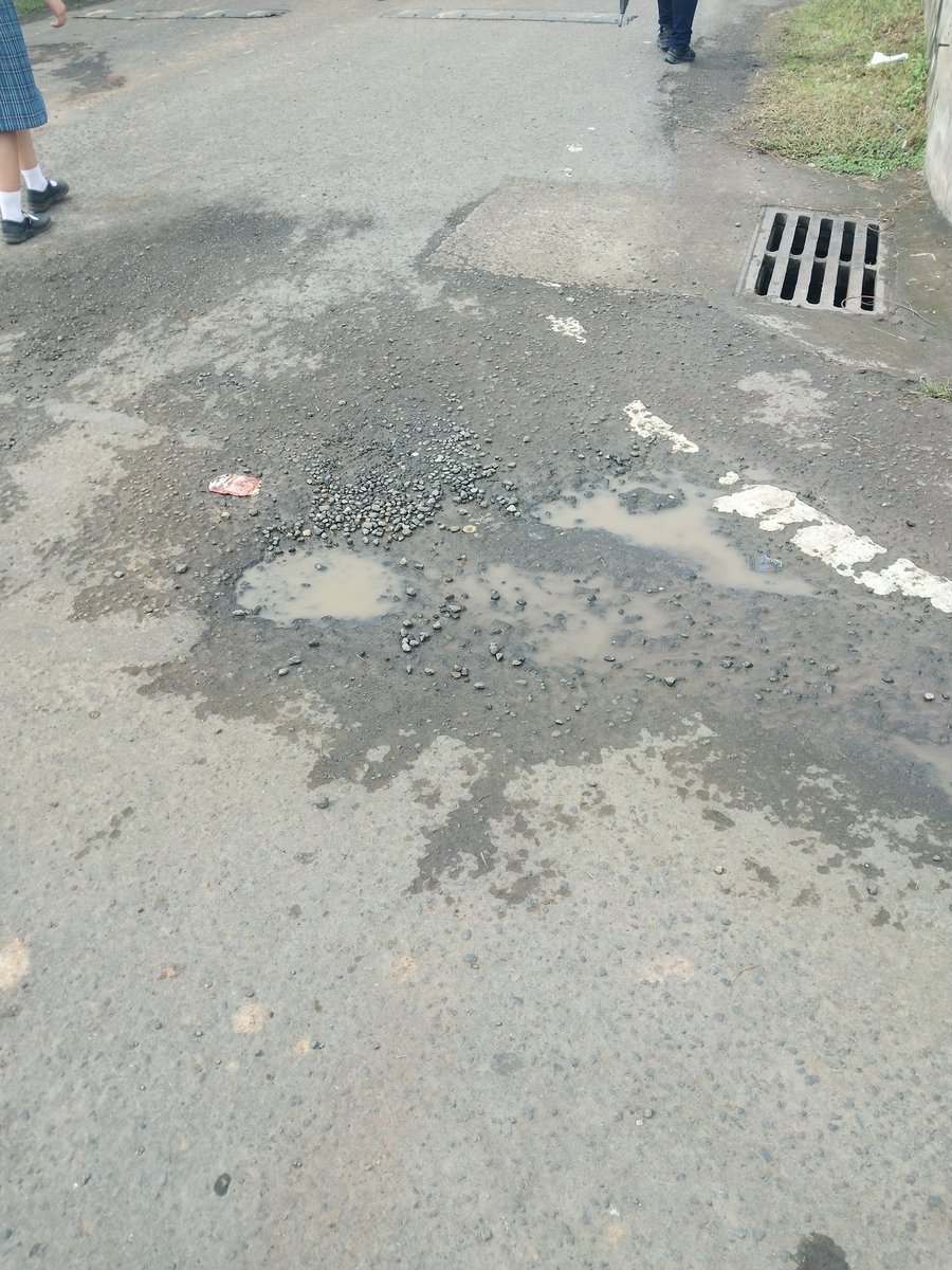 LaVillaLS tweet media