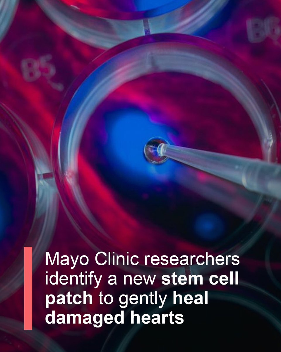 Mayo Clinic tweet media