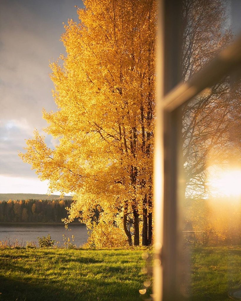 meh_thinks's tweet photo. Autumn shades the weary soul in golden dreams and long lost hopes.🍁 https://t.co/TADTDWI5z9