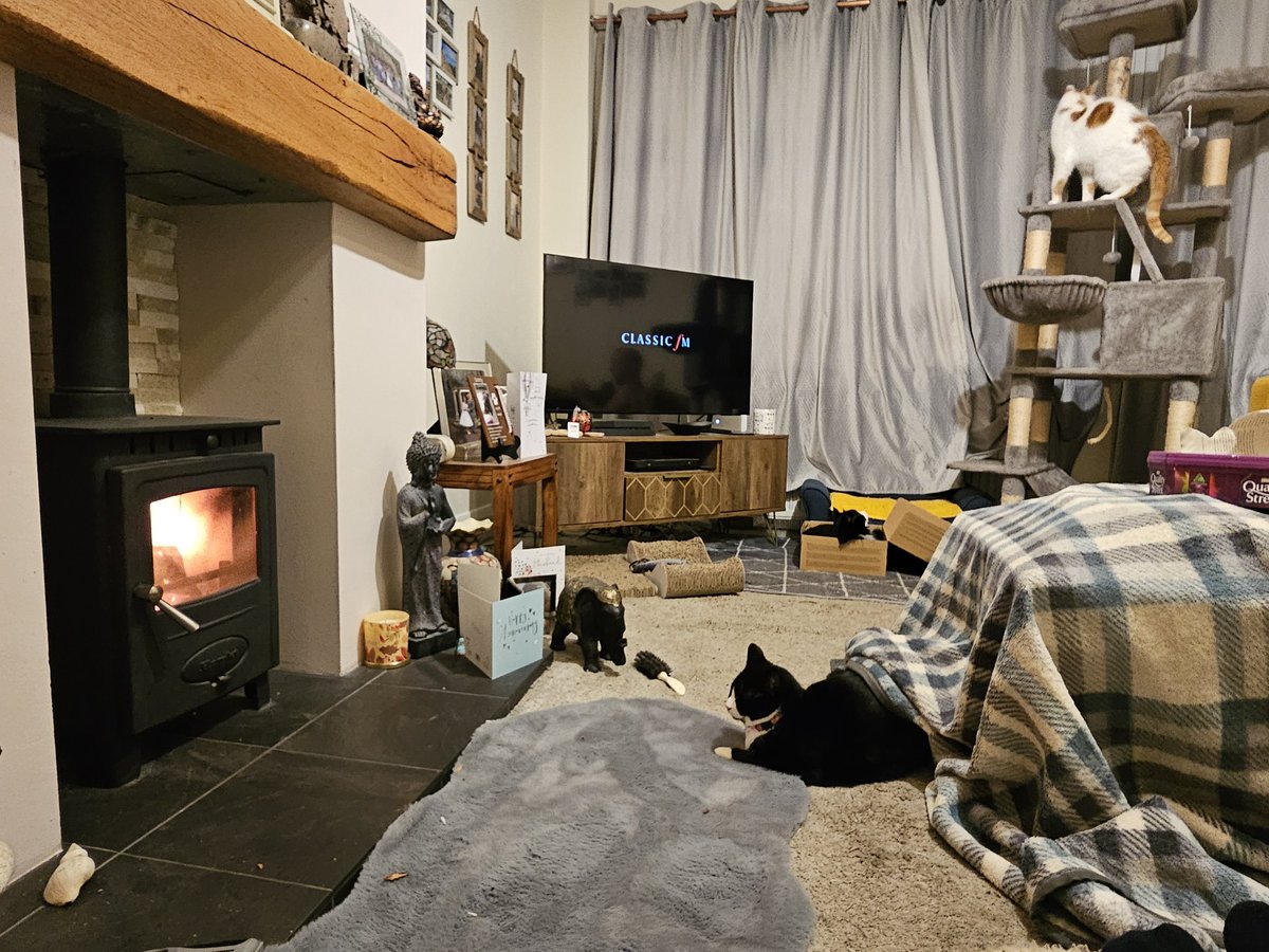CoDarcy's tweet photo. #petclassics my poor shadow, hates fireworks. The music is slowly helping her relax. Thank you once again xx https://t.co/lfcaqadNoQ