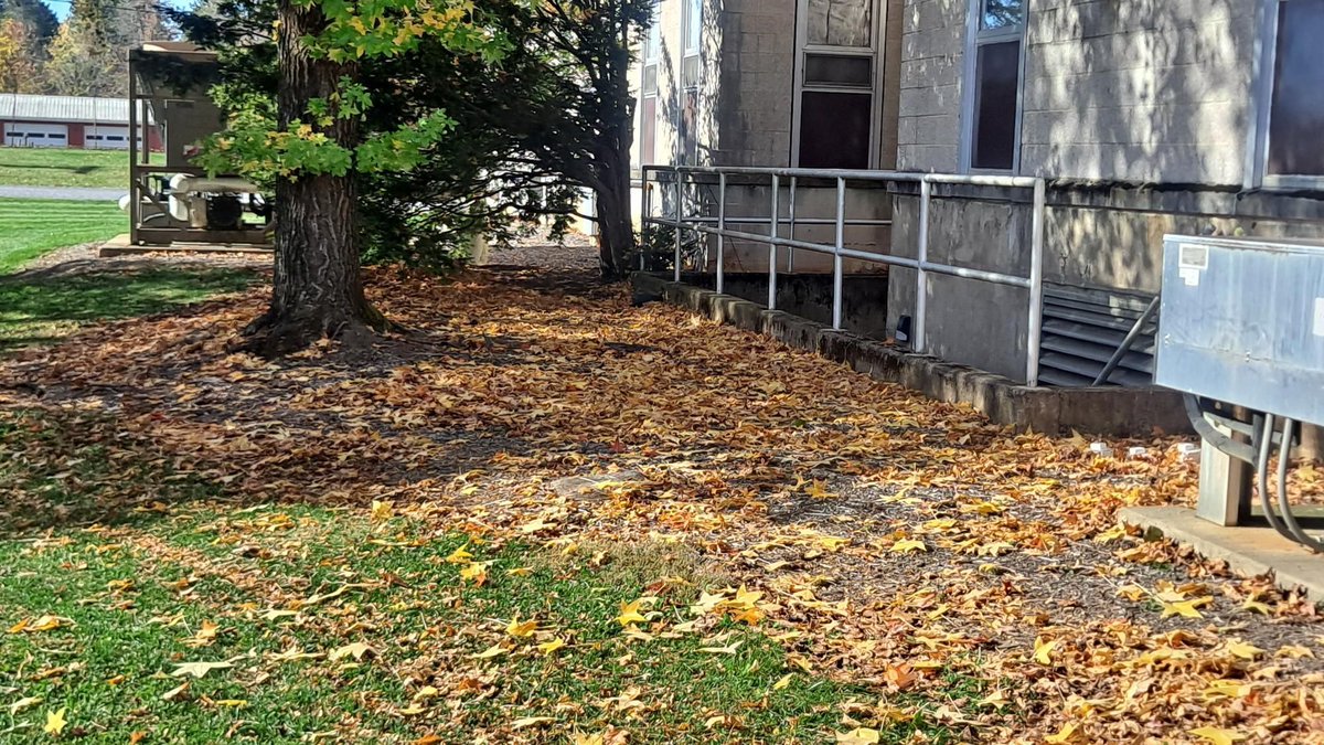 PSUpested's tweet image. Cleaning up leaves from you lawn is an important task in the fall of the year. Fallen leaves can smother your lawn and fuel fires. Rake them up to keep grass healthy and reduce fire risk-especially near buildings or wooded areas.