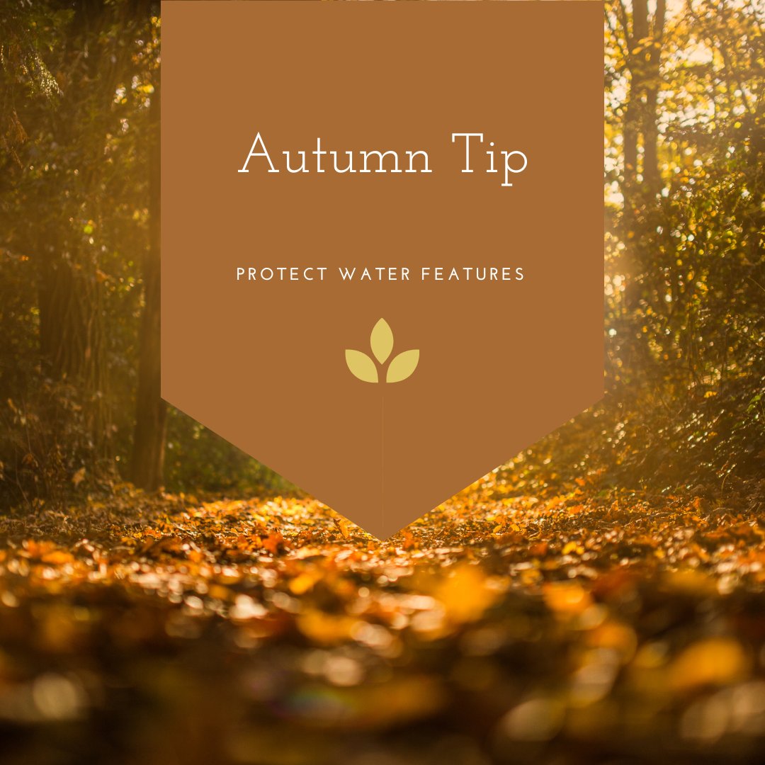 GroundOneMN's tweet image. Drain and clean fountains or ponds to prevent freezing damage and ensure a smooth start next season. #GroundOneLandscape
#LandscapeDesign
#OutdoorLiving
#BackyardGoals
#LandscapeArchitecture