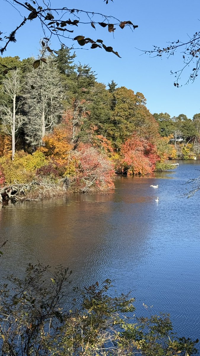 Beautiful Cape Cod in the fall
#WingsPond #capecod #AutumnVibes