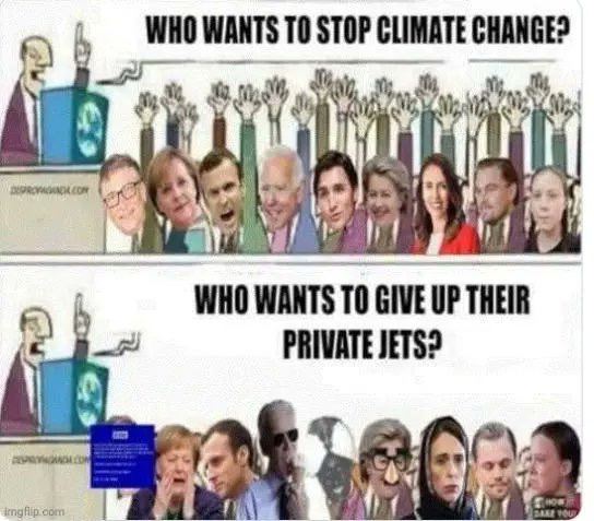 Finding Dory (@finding53830348) on Twitter photo 