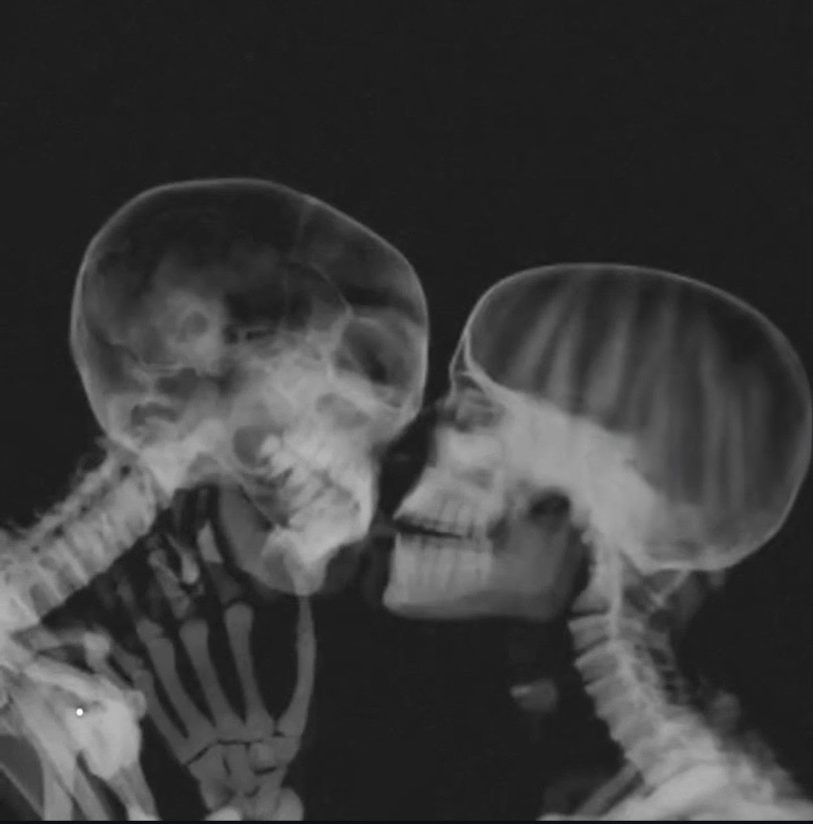 🌼

#CarezzeDAmore

"lo non ti ho scelto.
  lo mi ricordo di te."

🩷