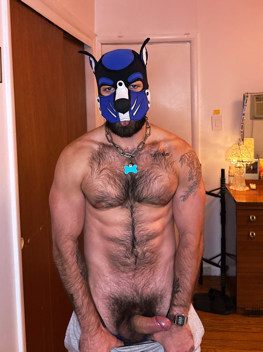 Puppy’s bone needs some attention 😈