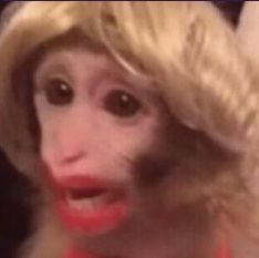 COMO QUE EL PAPA DE FURIA COMPRO TELEFE Y TINELLI LE DEBE 40MILLONESUSD?