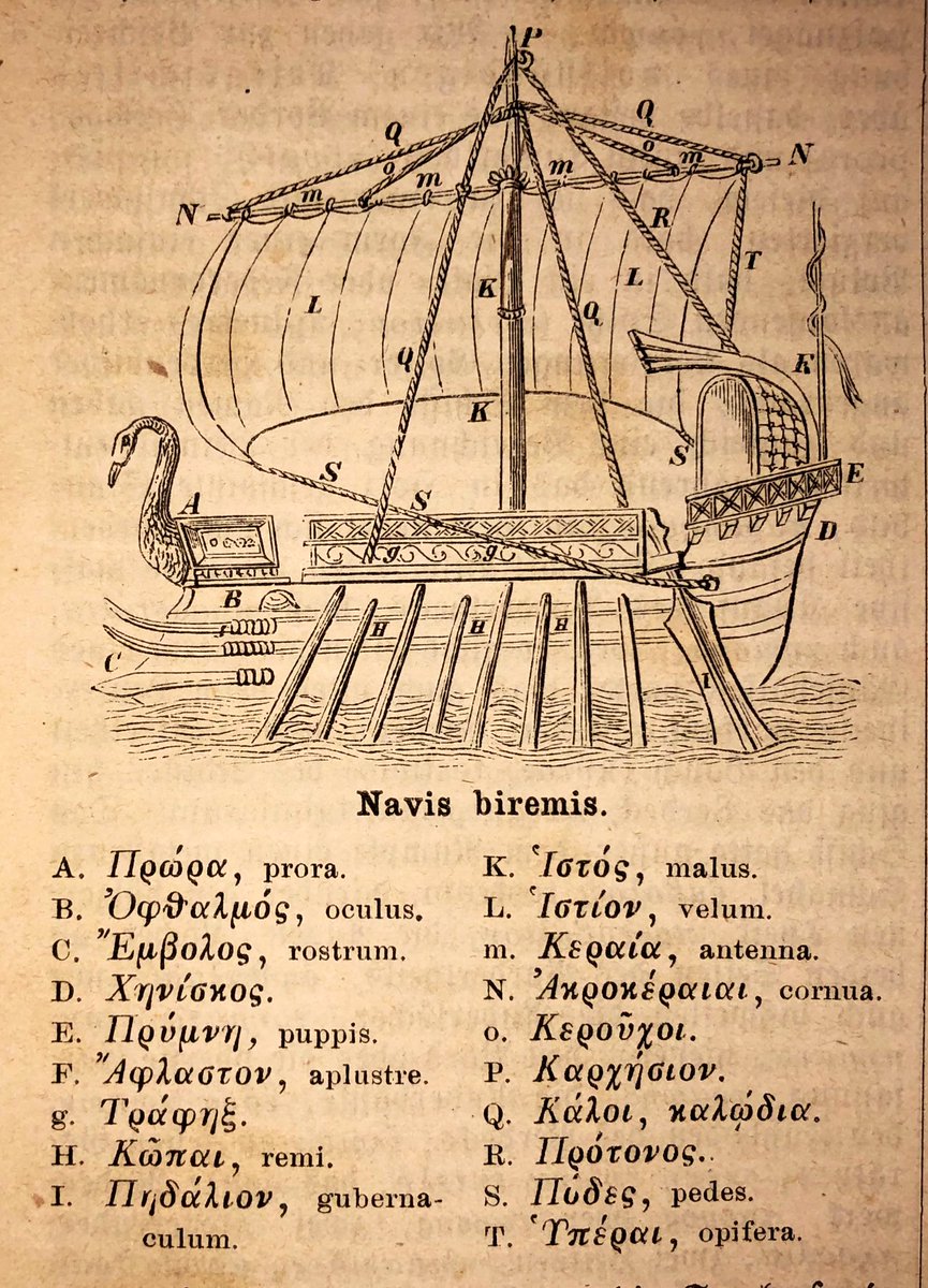 ὁ Κέφαλος | AGROS education tweet media