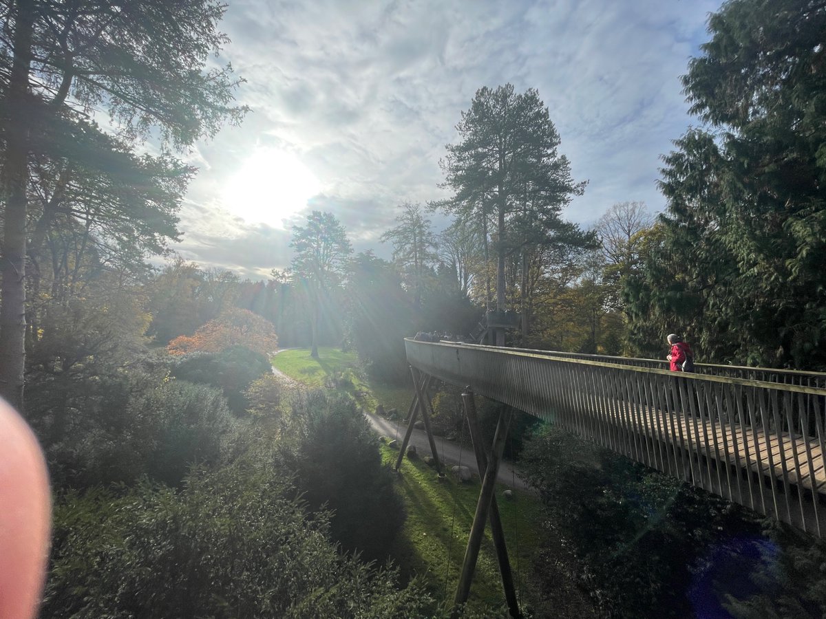 Art@TKASA tweet media