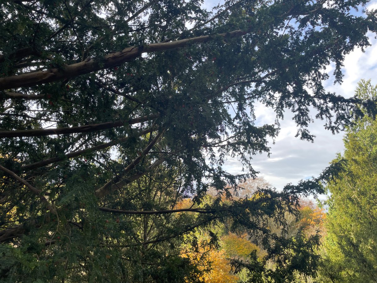 Art@TKASA tweet media