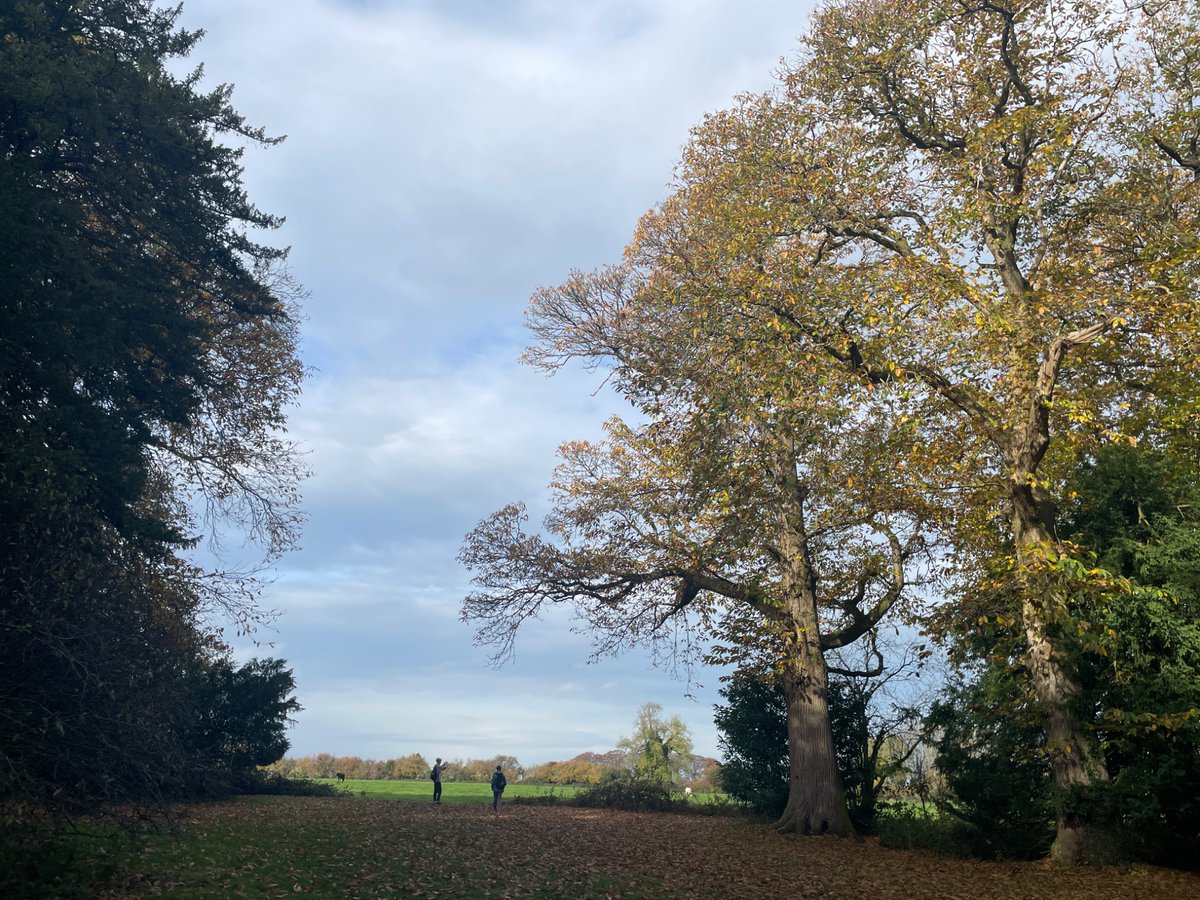 Wonderful day at Westonbirt Arboretum with our year 10 artists and photographers. Fantastic behaviour from all, student photographs to follow.  <a href="/_TKASA/">The King Alfred School an Academy</a>