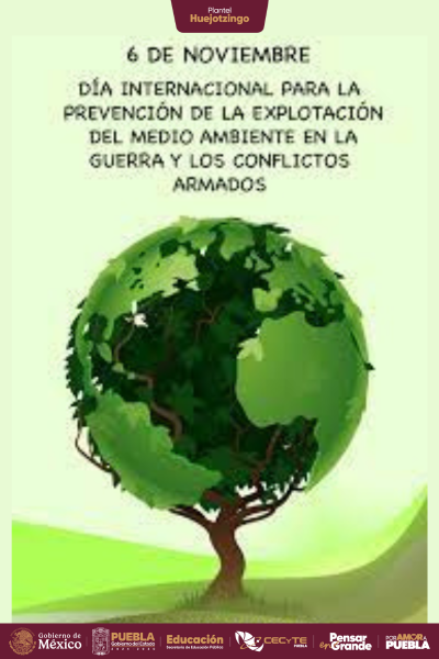 En 2001 la Asamblea General de las Naciones Unidas proclamó el 6 de noviembre como el Día Internacional para la prevención de la explotación del Medio Ambiente en la guerra y los conflictos armados, una fecha que pretende proteger el medio ambiente en situaciones de conflicto.