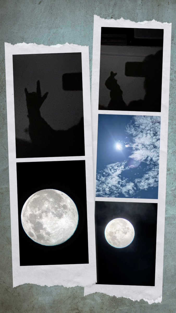 シーラッコ♡ on X