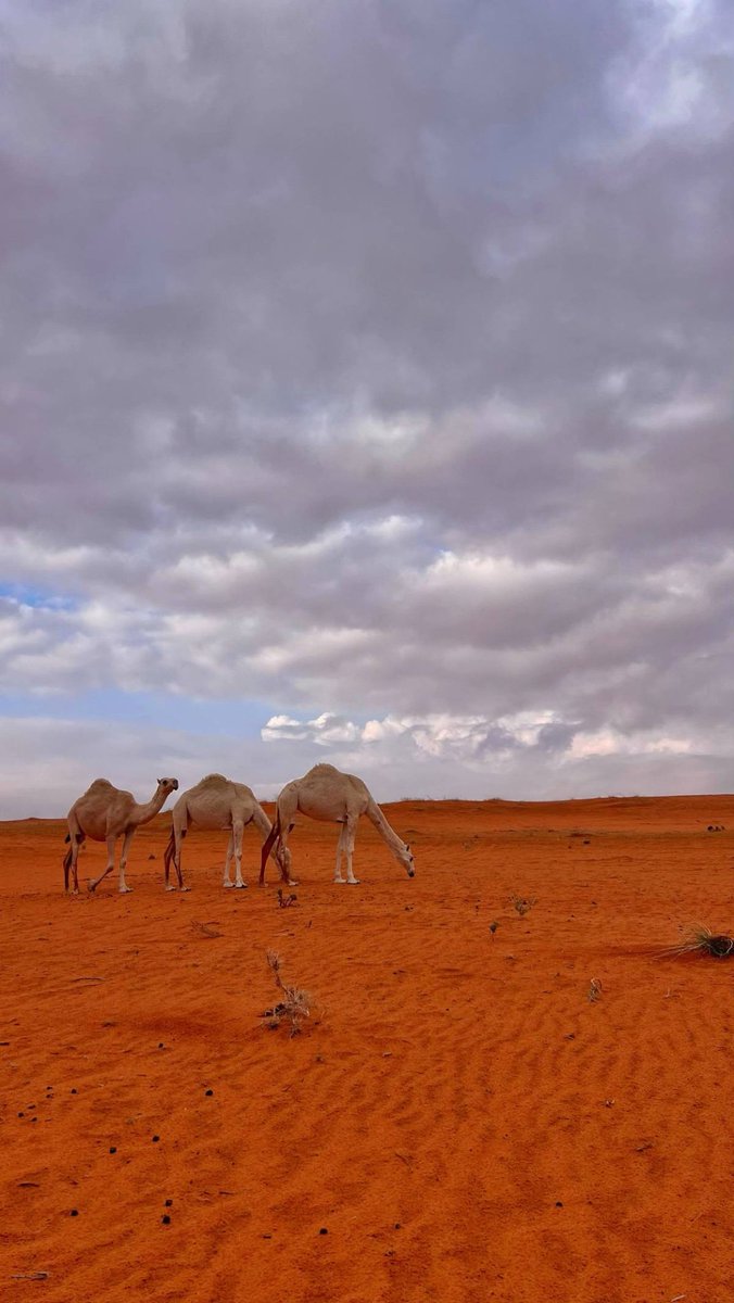 ZAID (@zaid4799) on Twitter photo 