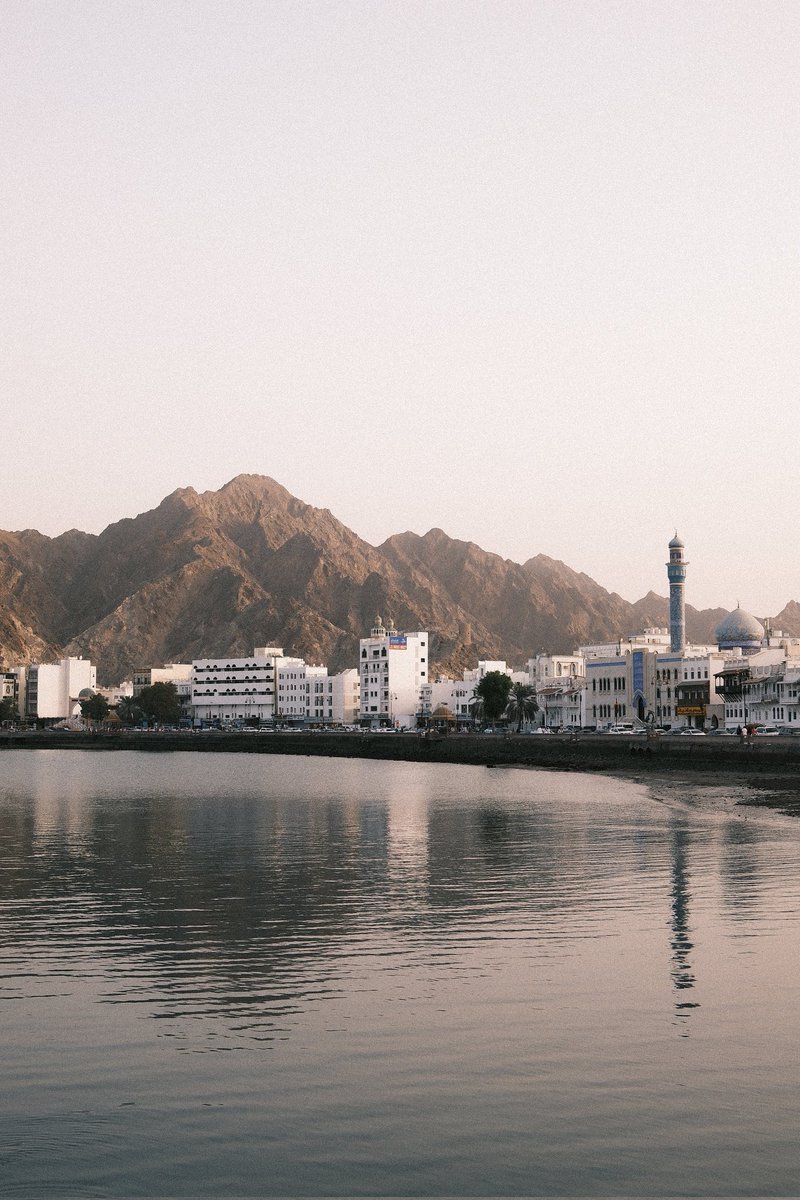 scottyfrenchhh tweet media