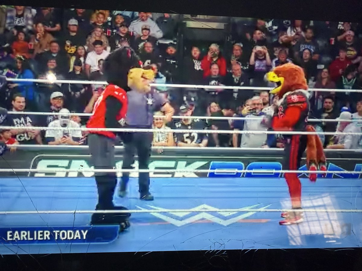 Tree City Sports tweet media