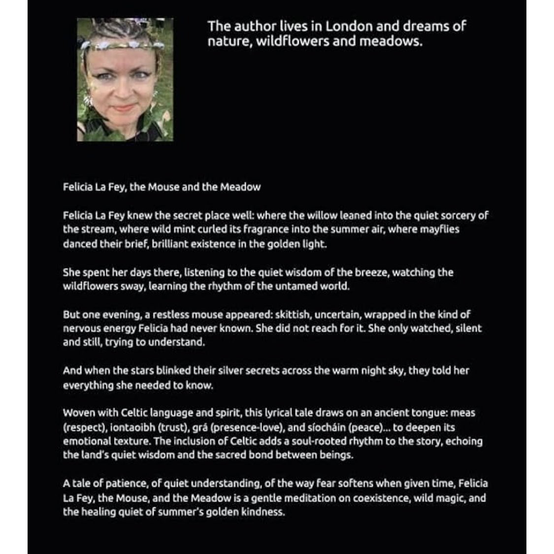 Beneath summer’s golden stardust, Felicia La Fey listens. A mouse stirs. She waits. Learns. And under a silver sky, she understands. A lyrical tale of trust, wild magic &amp; Celtic soul. amzn.eu/d/8aN720h 
#FeliciaLaFey #PoeticProse #NatureMagic #CelticWisdom #MouseAndMeadow