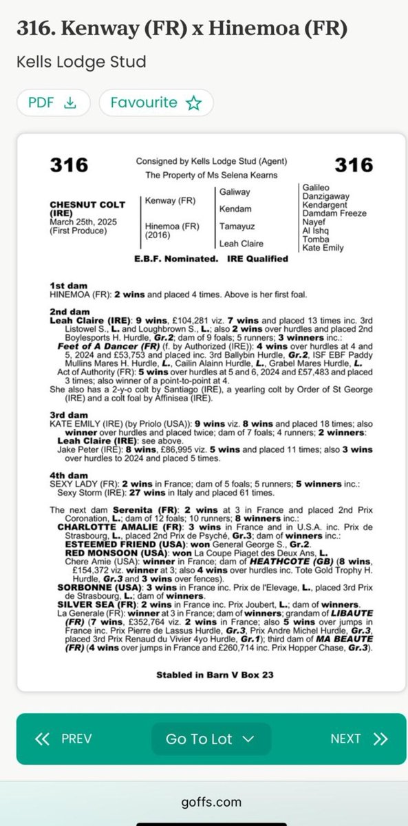 My first home bred foal 💓❤️ this means so much to me my forever little red mare. I was so scared I'd not make it to the following spring when she went in foal and I got my diagnosis. ❤️