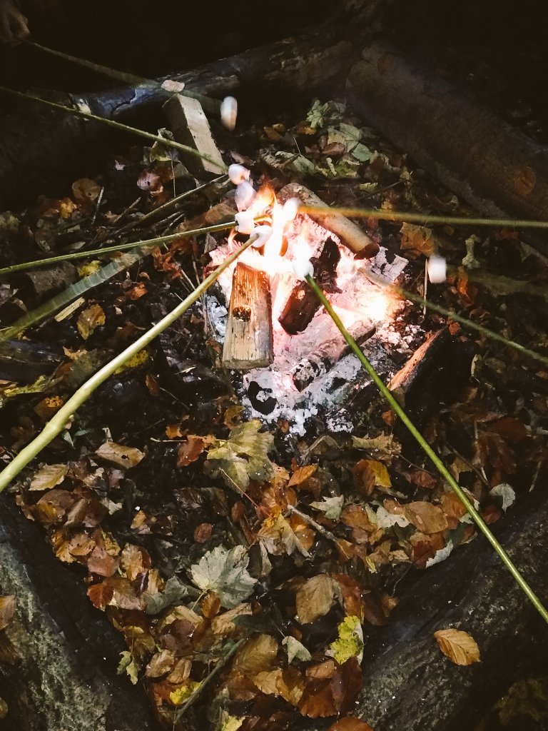 EastMortonCEPrimary tweet media