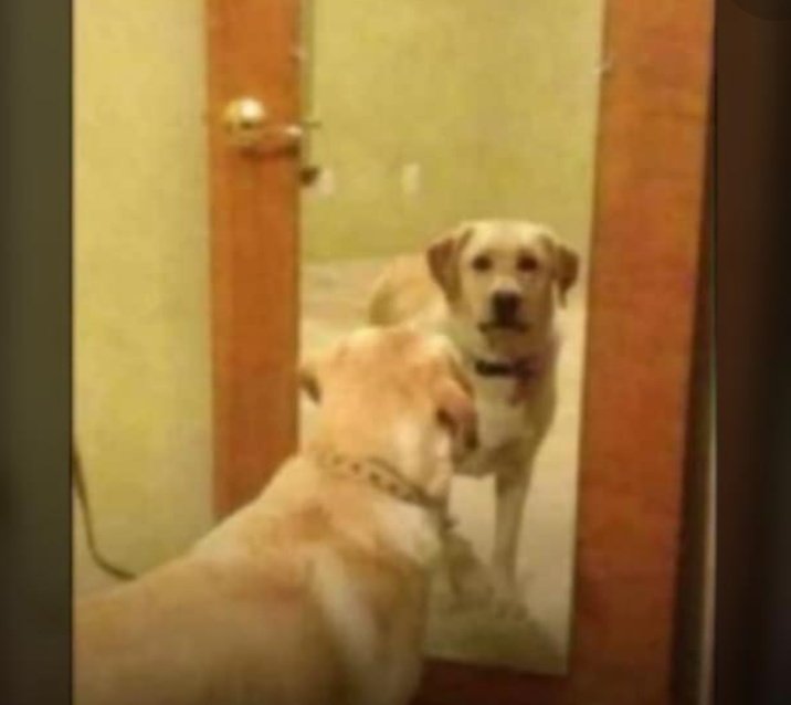 kingy ♊️🌵 (@kingsley_1903) on Twitter photo 