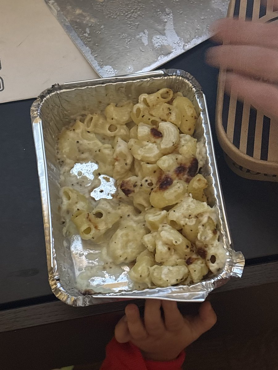 i like cats tweet media