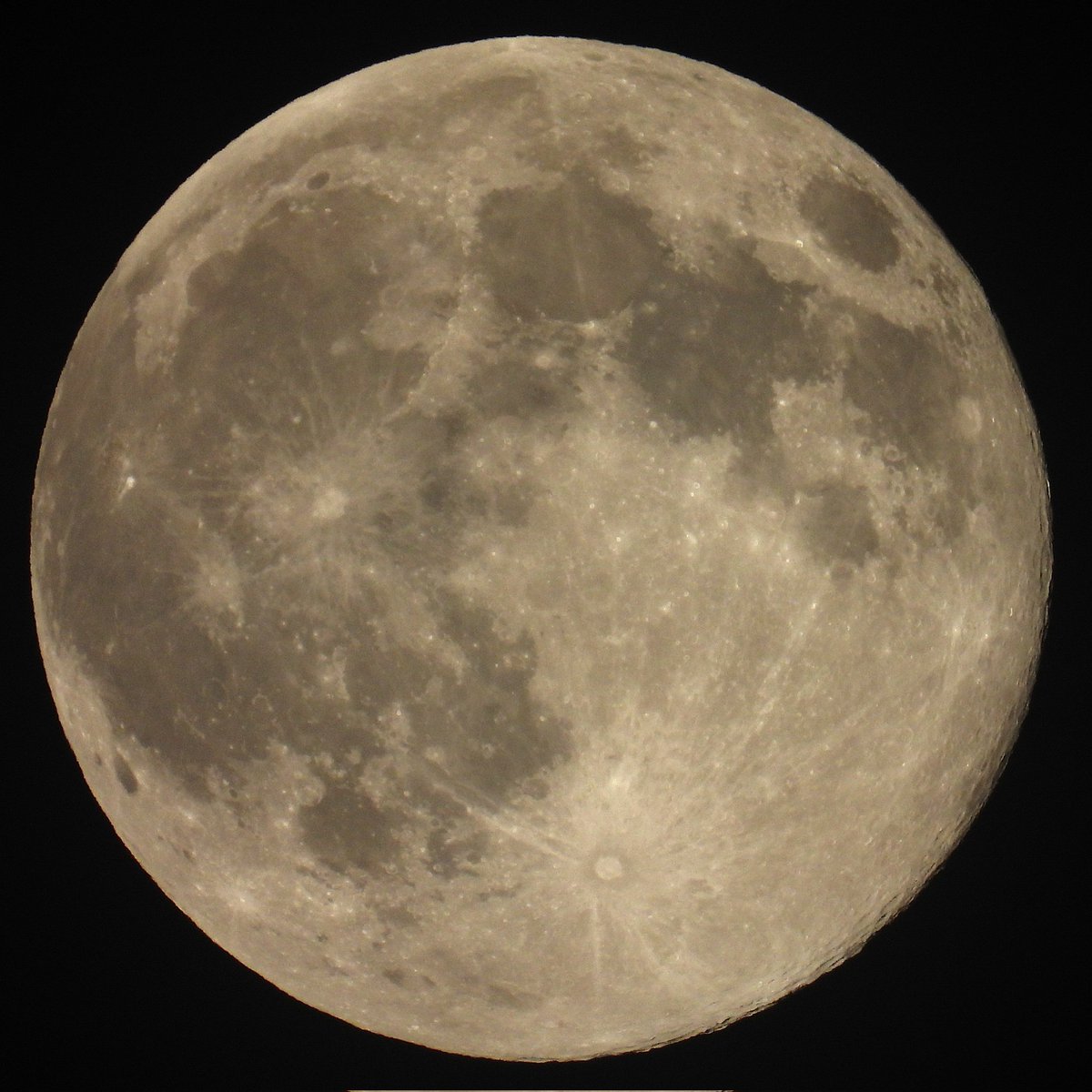 FunkyAppleTree's tweet image. SUPERMOON ALERT: My Beaver&apos;s being a diva - caught it through a gazillionth of a second gap in the clouds 🦫🌝☁️ #London @StormHour @ThePhotoHour #FullMoon #BeaverMoon @metoffice